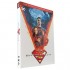 Superman & Lois second season 3DVD Superman & Lois second season 3DVD